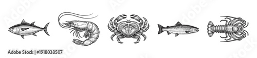 Vintage hand drawn seafood collection featuring tuna salmon shrimp crab and lobster in woodcut engraving style.