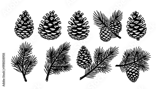 Pine Cones And Branches Linocut Print Style Icons Set On White Winter Forest Branches Nature Icons Carved Symbols Nature Prints Woodland Elements Bold Print Illustrations