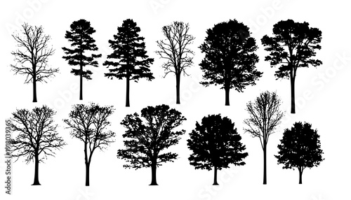 various deciduous trees silhouettes on the white background. vector set. PNG white background