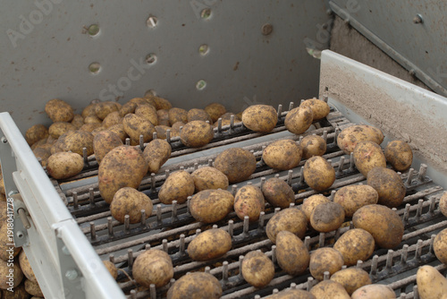 Konstfotografi Kartoffel,  Kartoffelernte,  Kartoffelroden, Kartoffelroder