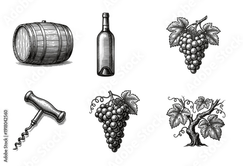 Vintage woodcut style illustration set featuring wine production elements including grapes, wooden barrel, glass bottle, corkscrew, and grapevine.