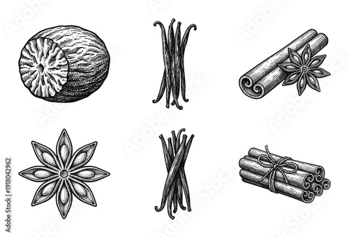 Set of hand drawn aromatic spices and culinary herbs featuring cinnamon sticks, star anise, nutmeg, and vanilla beans in woodcut engraving style