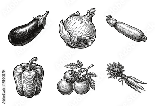 Set of hand drawn vegetable illustrations in vintage woodcut engraving style featuring eggplant onion zucchini bell pepper tomatoes and carrots