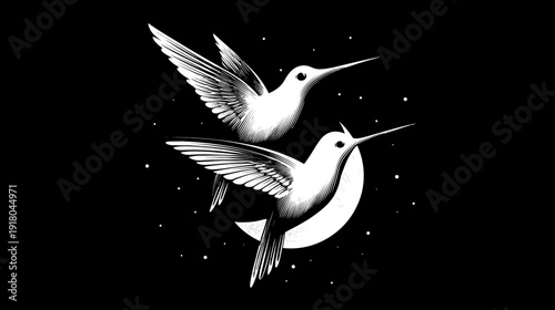 Elegant black and white illustration of two hummingbirds flying at night with a crescent moon and stars, a symbolic graphic design.