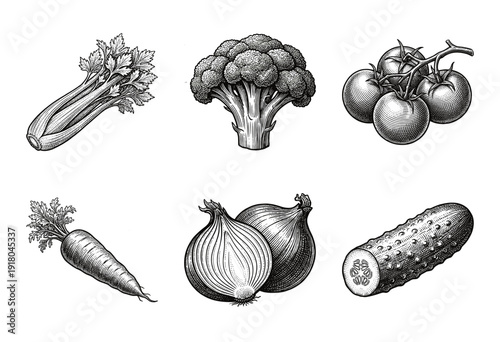 Collection of fresh garden vegetables in vintage woodcut line art style featuring celery broccoli tomato carrot onion and cucumber