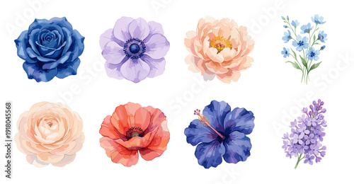 Watercolor Flower Set with Rose and Peony