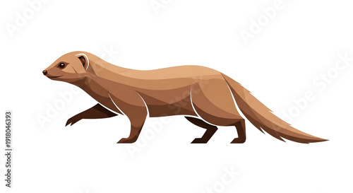 Stunning mongoose illustration on white background