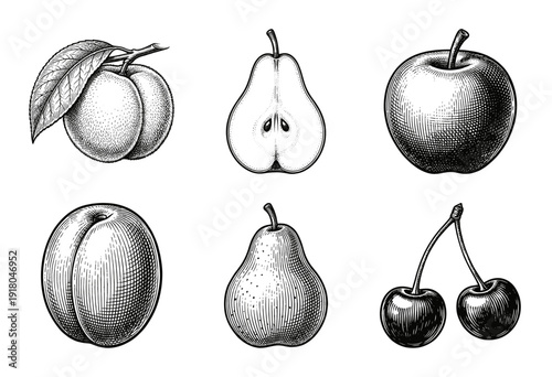 Vintage fruit collection featuring hand drawn engraving style illustrations of apple pear cherry peach and plum on a white surface.