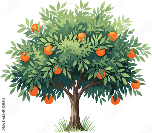 Orange Tree with Ripe Fruits and Green Leaves ripe oranges 1