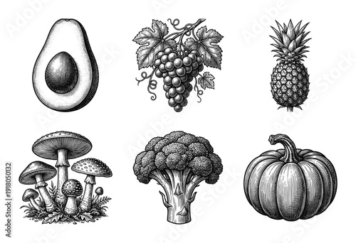 Vintage woodcut style illustration of assorted fruits and vegetables including avocado, grapes, pineapple, mushrooms, broccoli, and pumpkin.