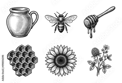 Set of vintage woodcut style illustrations featuring honey bees, sunflowers, honeycomb, and beekeeping elements
