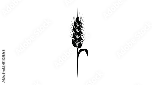 A simple, black-and-white illustration of an ear of grain, isolated on a white background