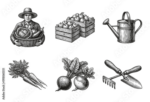 Vintage woodcut illustration collection of a farmer with fresh harvest, wooden crates of apples, watering can, gardening tools, carrots, and beets.