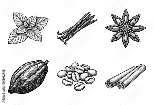 Vintage engraving style collection of spices and flavorings including cocoa pod coffee beans cinnamon sticks star anise vanilla and mint leaves