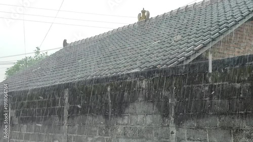 Heavy rain against a backdrop of walls and buildings in a rural setting.