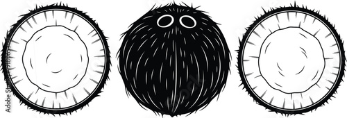 Minimalist black and white coconut illustration set, three tropical fruit silhouettes, whole and halved coconuts, clean graphic vector, organic food.