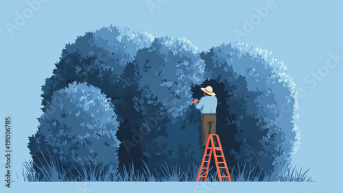 Gardener trimming a large bush on a ladder against a pale blue sky