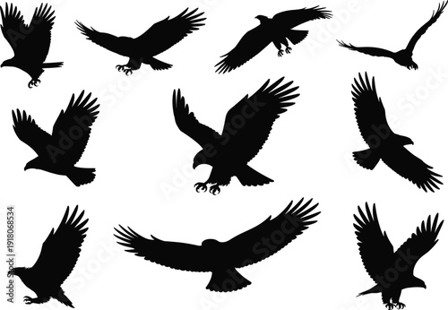 Flying eagle silhouettes set, birds of prey collection, black raptor shapes isolated on white background vector illustration