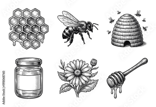 Vintage hand drawn honey and beekeeping set featuring honeybee, honeycomb, skep hive, jar, flower, and honey dipper in a detailed woodcut engraving style.