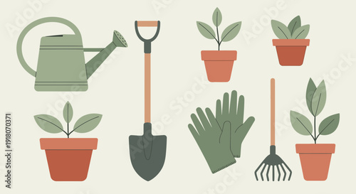 Gardening tools and plants arranged neatly in a flat lay composition on a neutral background viewed from directly above.