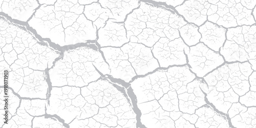 Abstract white and gray cracked texture background.
