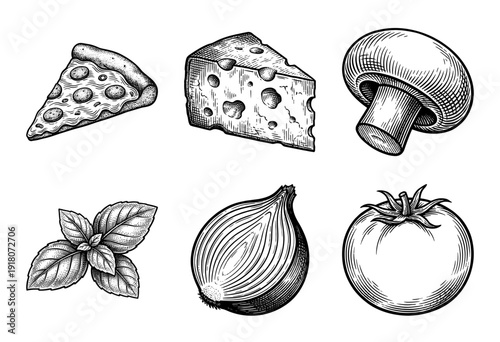 Vintage hand drawn engraving of pizza ingredients collection including cheese mushroom basil onion and tomato on white