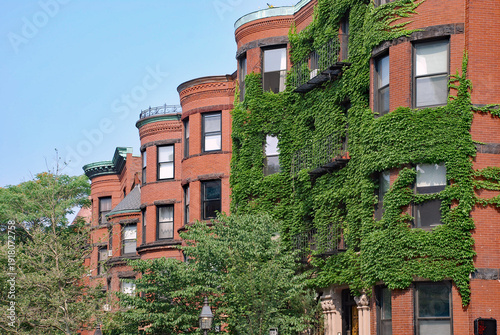 Wallpaper Mural Vine covered residential buildings in the Back Bay neighborhood of Boston, Massachusetts Torontodigital.ca