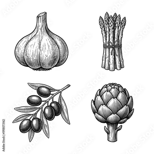 Vintage engraving style vegetable collection featuring hand drawn illustrations of garlic bulb, asparagus bundle, olive branch, and artichoke on a plain white surface.