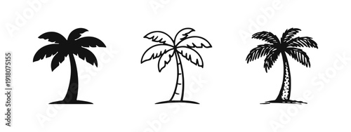 Exotic Palm Tree Icons Set - Tropical Island and Summer Destination Graphics