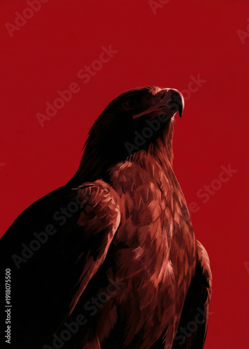 Dark Silhouette Portrait of an Eagle on a Minimalist Red Background