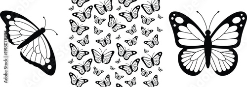 Black white butterfly vector set, decorative flying butterflies, silhouette illustration collection for nature design, wall art, pattern, tattoo, sticker, print