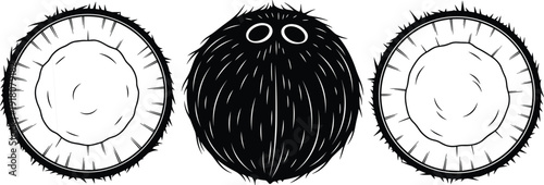 Minimalist black and white coconut illustration set, three tropical fruit silhouettes, whole and halved coconuts, clean graphic vector, organic food.