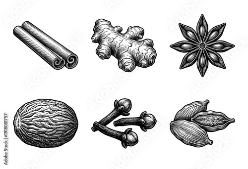 Vintage style engraving collection of aromatic culinary spices including cinnamon ginger star anise nutmeg cloves and cardamom pods