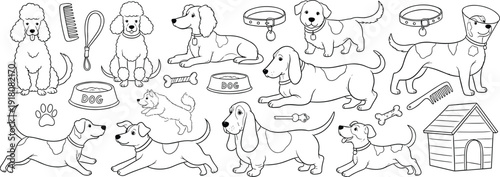 Vector set of cute dogs and pet care accessories with poodles, hounds, collars, bowls, and kennel, isolated on white