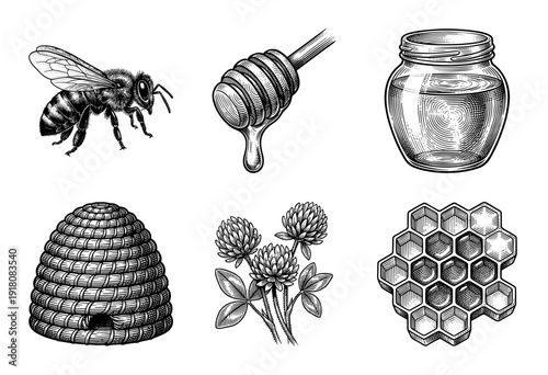 Vintage engraving style honey production collection featuring honeybee, skep hive, wooden dipper, glass jar, clover flowers, and wax honeycomb cells.