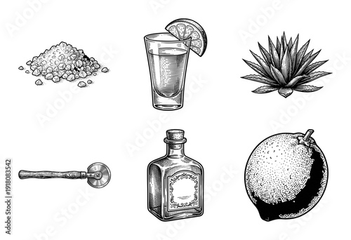 Vintage engraving style collection of tequila production elements including agave plant, glass shot with lime, salt, bottle, and citrus fruit