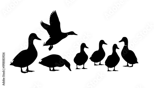 duck silhouettes
