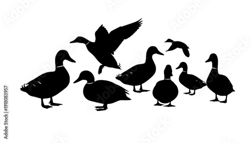 duck silhouettes
