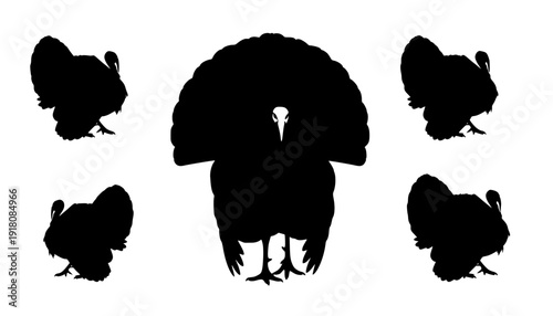turkey silhouettes
