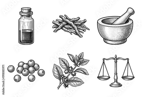 Vintage engraving of homeopathic and apothecary elements including a glass vial, medicinal herbs, mortar and pestle, and balance scales in a classic woodcut style.