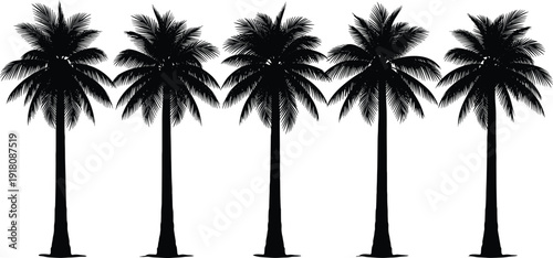Black Palm Tree Silhouettes Row for Tropical Summer Vacation Backgrounds, Beach Party Posters, Coastal Landscaping Designs, and Exotic Travel Themed Graphic Assets