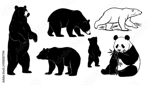 various bear silhouettes on the white background
