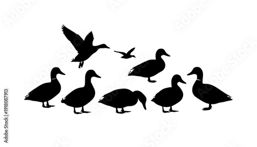 duck silhouettes
