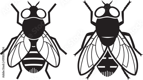 Silhouette of fly insects on the isolated screen