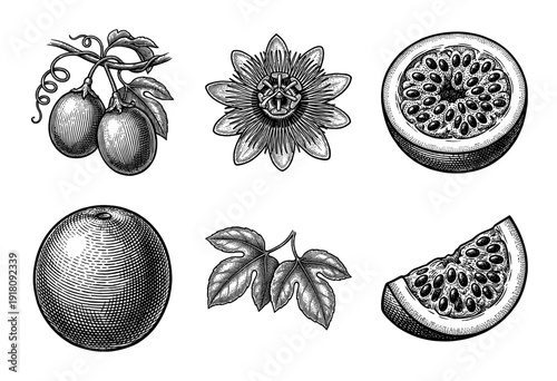 Vintage engraving of passion fruit botanical set including whole fruit, sliced sections, tropical flower, and leaves in a detailed woodcut style.