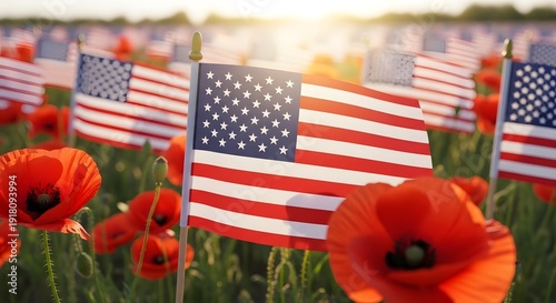 American flags and poppies in a field on a sunny day