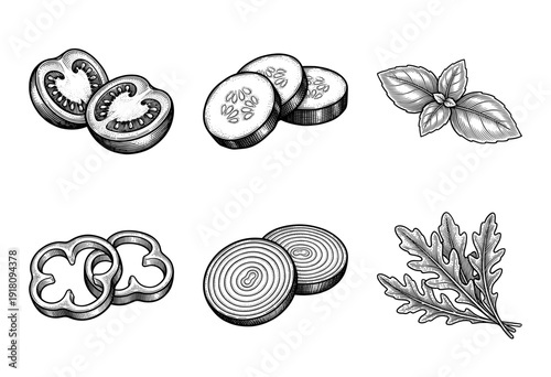 Collection of hand drawn vintage style vegetable slices and fresh herbs including tomato cucumber pepper onion basil and arugula