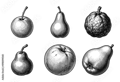 Set of vintage engraved fruit illustrations including apples, pears, and citrus in a classic woodcut etching style.