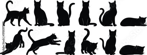 Black cat silhouettes collection, sitting, walking, stretching, lying down, playing, feline poses, vector illustration, animal shapes, artwork, flavector