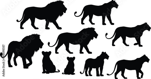 Lion silhouettes collection, male lions with manes, lionesses, cubs, walking, standing, sitting poses, wildlife vector illustration, animal artwork, flavector